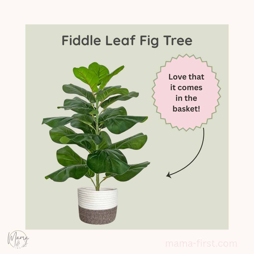 fiddlehead fern product card