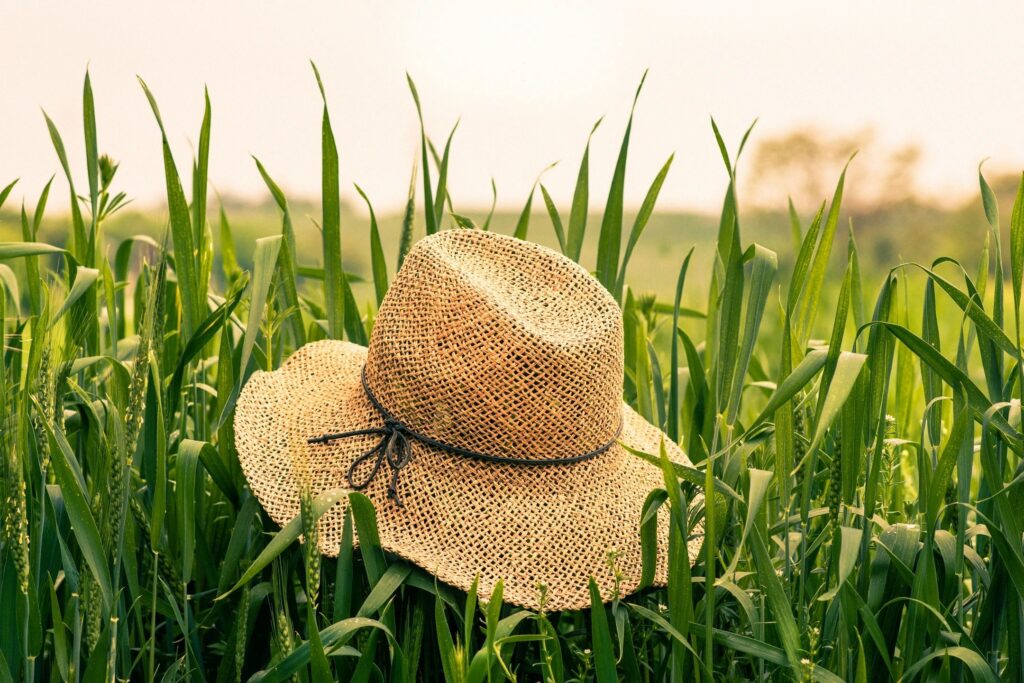 straw hat lying in a grassy meadow