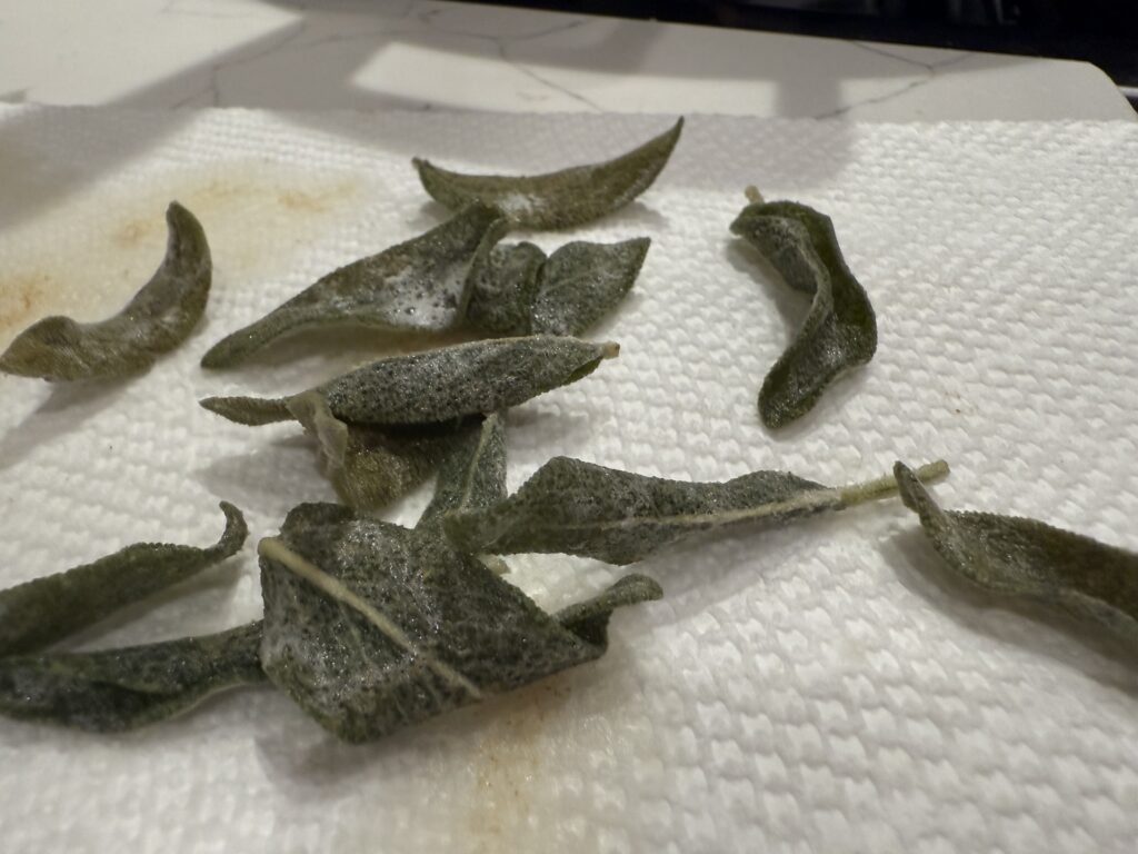 lightly fried sage on paper towel